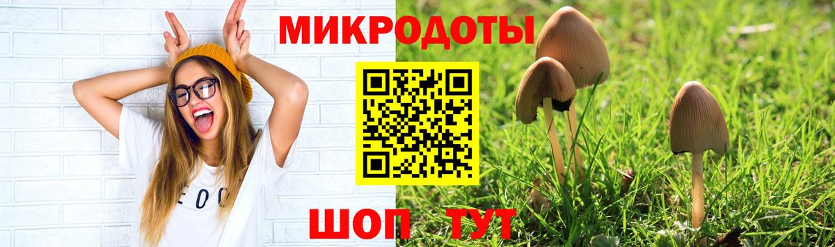 Галлюциногенные грибы мицелий Домодедово